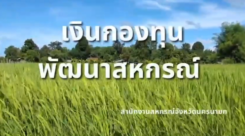 โครงการแก้ไขปัญหาหนี้ค้างชำระของสหกรณ์